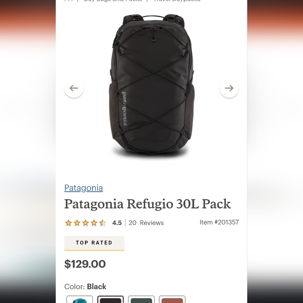 Patagonia 30L refugio backpack black